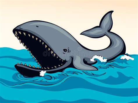 Minke Whale Isolated Stock Illustrations – 88 Minke Whale Isolated Stock Illustrations, Vectors ...