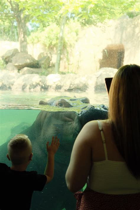 Cincy Zoo | X-T5 XF35mm f2 : r/fujix