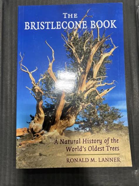 THE BRISTLECONE BOOK: A Natural History of the World's Oldest Trees $6.50 - PicClick
