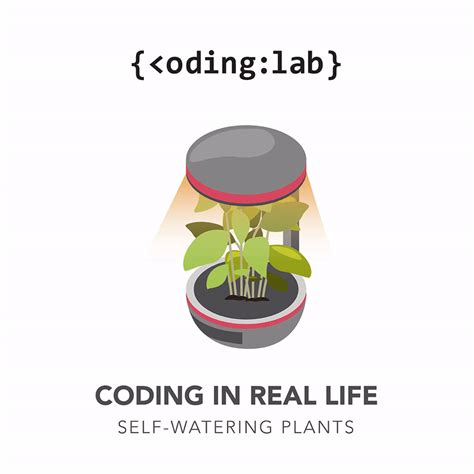 #CodingInRealLife: 3 Cool Things You Can Use Coding For — Coding Lab