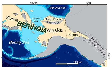 Pleistocene Megafauna in Beringia (U.S. National Park Service)