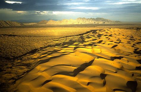 Gran Desierto de Altar en Sonora | Natural landmarks, Trip, Travel