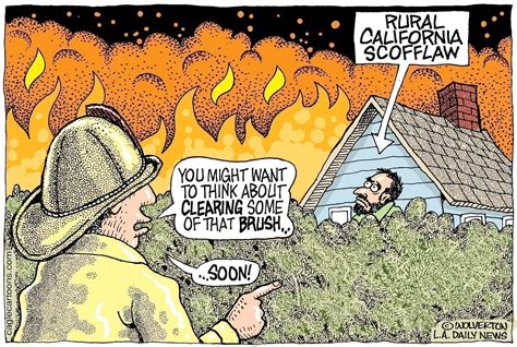 Editorial Cartoon: CA Fire Safety Brush Clearing - The Independent ...