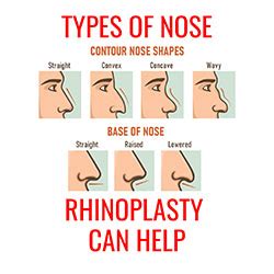 Different Nose Shapes Types