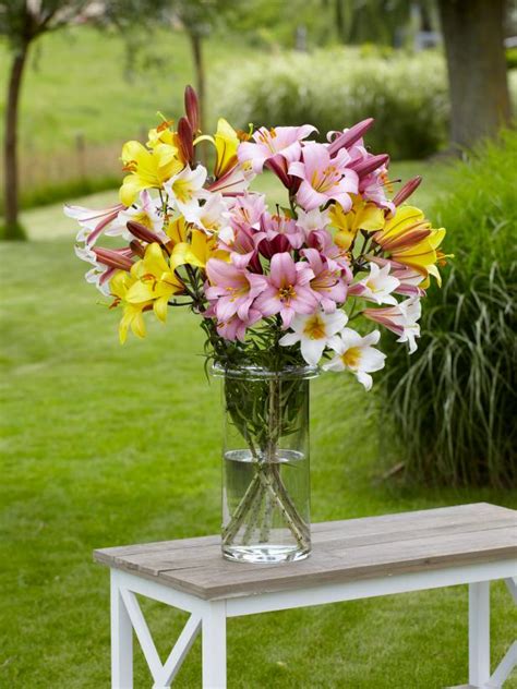 Long Lasting Cut Flowers | HGTV