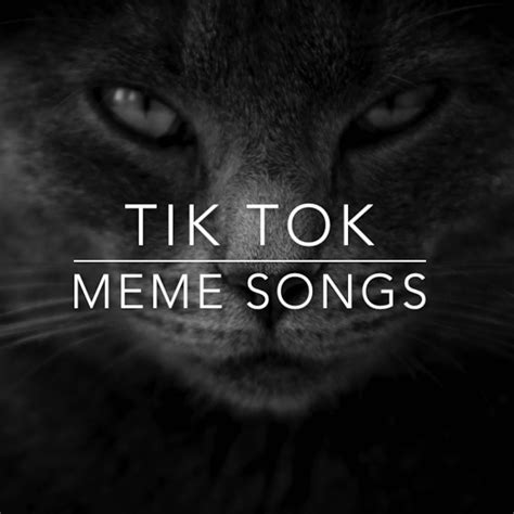 ‎Tik Tok Meme Songs by Various Artists on Apple Music