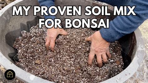 My Proven Soil Mix for Bonsai | Bonsai Heirloom - YouTube