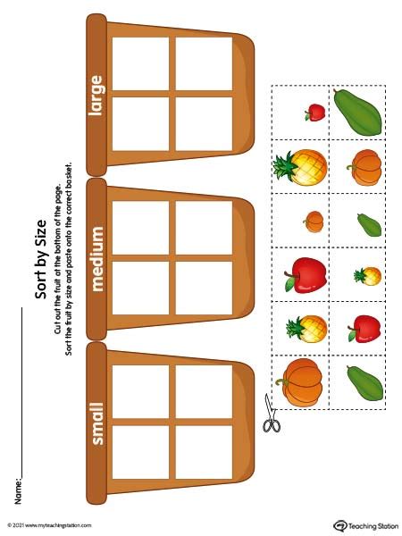 Sort by Size Worksheet: Small, Medium, Large (Color ...