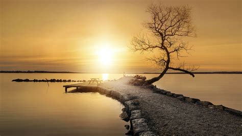 nature, Landscape, Water, Sea, Trees, Path, Pier, Horizon, Calm ...