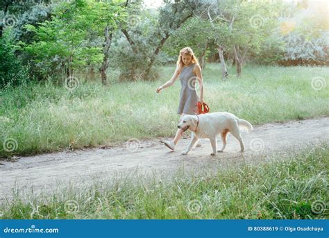 Girl walking dog in park stock image. Image of playing - 80388619