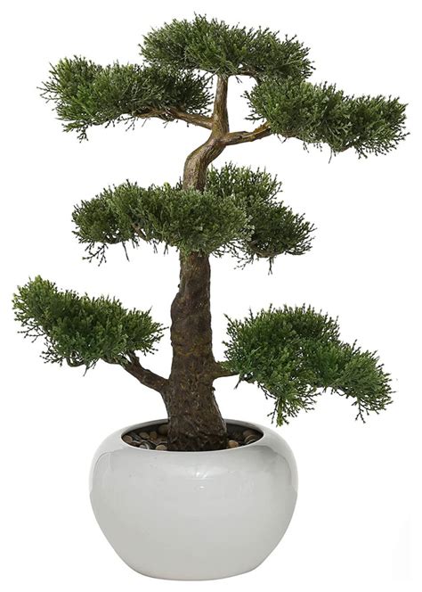 Faux Cedar Bonsai Tree - Asian - Artificial Plants And Trees - by Whole ...