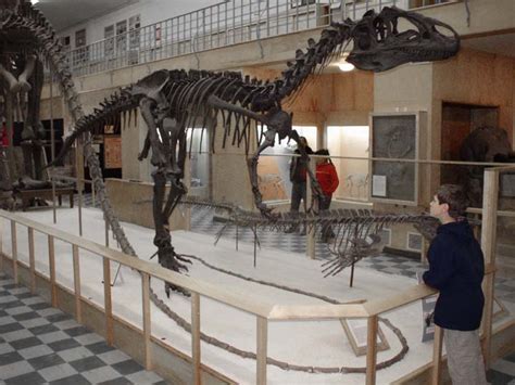 Dino Trip 2003 - Laramie Museum - Allosaurus