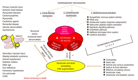 Sympathetic nervous system activation and heart failure: Current state ...