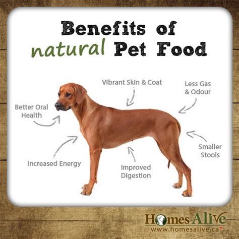 The Benefits of Raw Pet Food: Fresh, Tasty, Disease-Fighting? Blog Post http://go.homesalive.ca ...