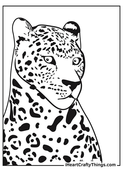 Jaguar Coloring Pages (Updated 2021)