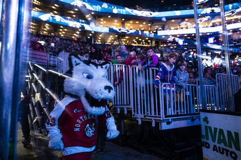 Northeastern loves Paws. He loves Northeastern more. - Northeastern ...