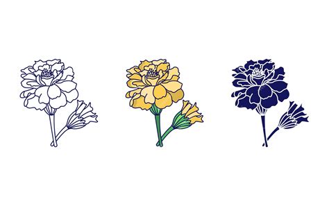 Premium Vector | Marigold flower vector icon