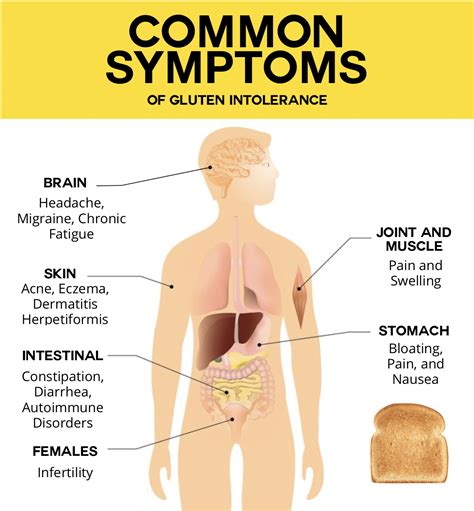 5 Common Symptoms of Gluten Intolerance • Paleo Foundation