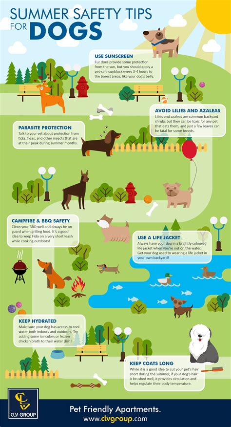 Summer Safety Tips for Dogs [INFOGRAPHIC] | CLV Group