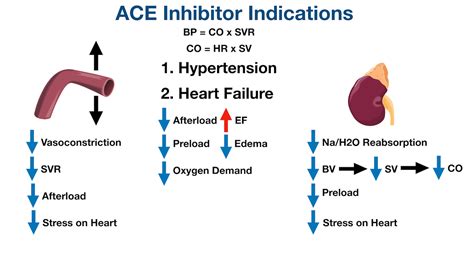 Streuen Stange Stressig ace inhibitors names Unangenehm Anlagen Minderwertig