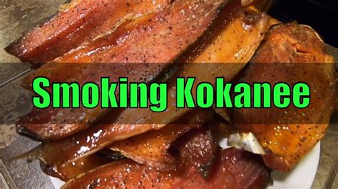 "How-To" The BEST Smoked Kokanee Salmon Recipe (Catch N' Cook) - YouTube