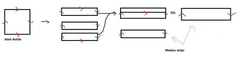 general topology - Klein bottle homeomorphic to union of Möbius strip - Mathematics Stack Exchange