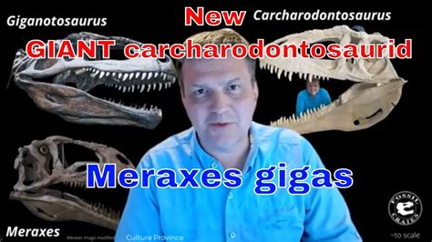 Meraxes gigas - one of the largest carnivorous land animals that ever lived! in 2022 | Epic ...