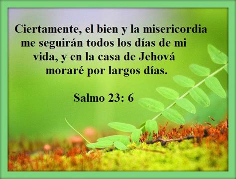 CONOCE EL SALMO 23 DE LA BIBLIA CATÓLICA