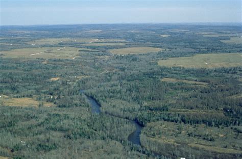 Free picture: aroostook, wilderness, refuge, forestry