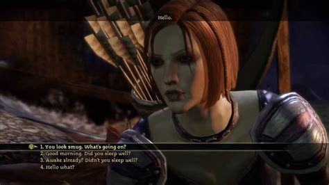 Dragon age 2 characters are not playersexual - copaxfrenzy