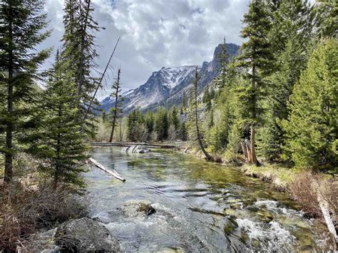 Hiking in Missoula: Explore Nature's Beauty