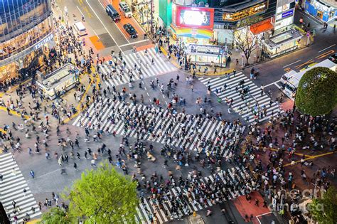 Shibuya crossing from the top, Tokyo, Japan Photograph by Matteo Colombo