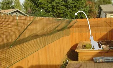 Cat-Proof Fence Guide – Different Options, Effectiveness, & Ideas | Cat proofing, Cat fence, Cats