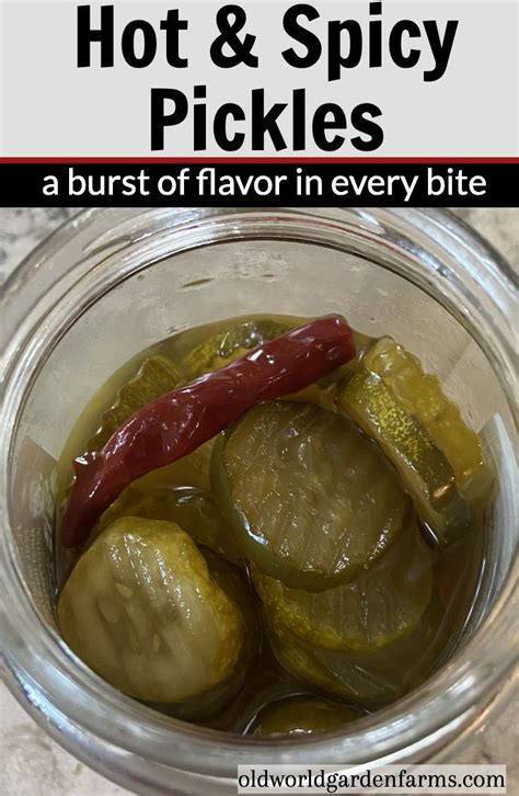 How To Make Hot & Spicy Pickles – Amazing Flavor In Every Bite! | Recipe | Pickling recipes ...