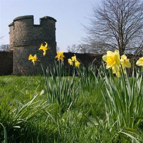 Dog walk at Castle Howard Arboretum · Yorkshire (North) · Walkiees