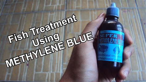 How To Use Methylene Blue In Aquarium - Aquarium Views