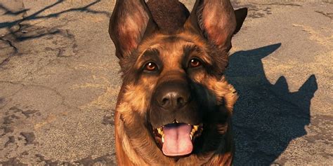 River, the dog best known as Fallout 4's Dogmeat, has died | PC Gamer