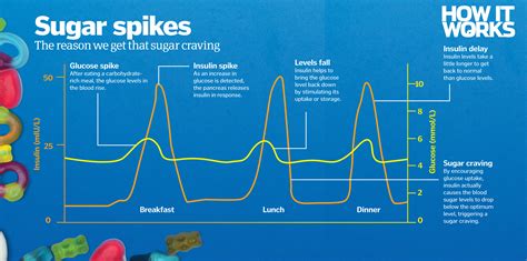 The Truth About Sugar