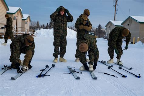 DVIDS - Images - 2nd LAAD Marines practice using ski equipment [Image 12 of 21]