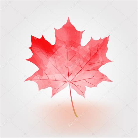 Autumn maple leaf vector illustration — Stock Vector © zigzag777 #86504762