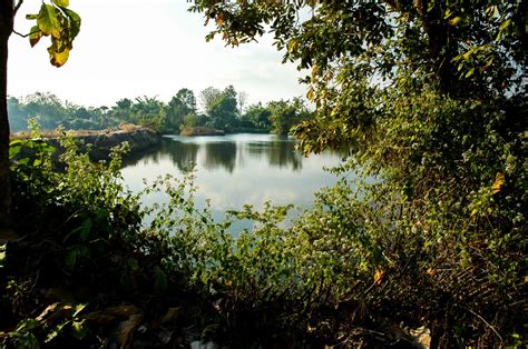 Gambar : pemandangan, pohon, alam, rumput, rawa, menanam, langit, sinar matahari, daun, danau ...