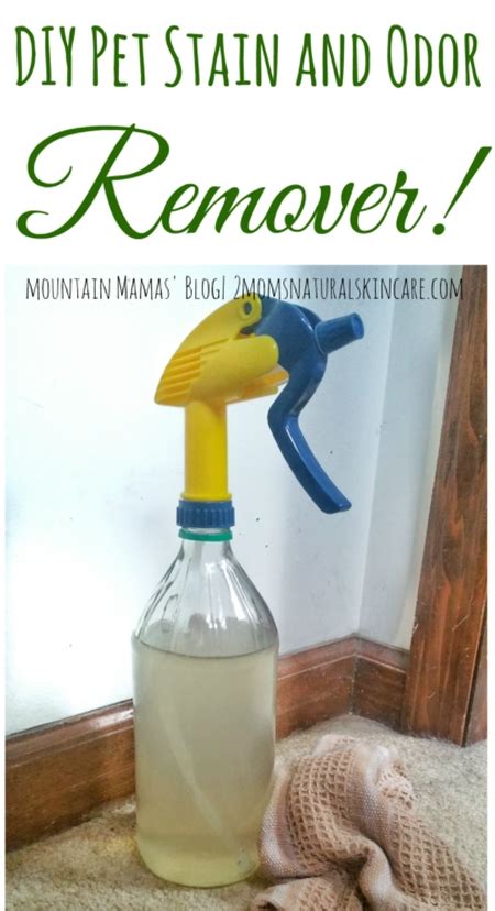 DIY Pet Stain And Odor Remover | Homemade to Healthy