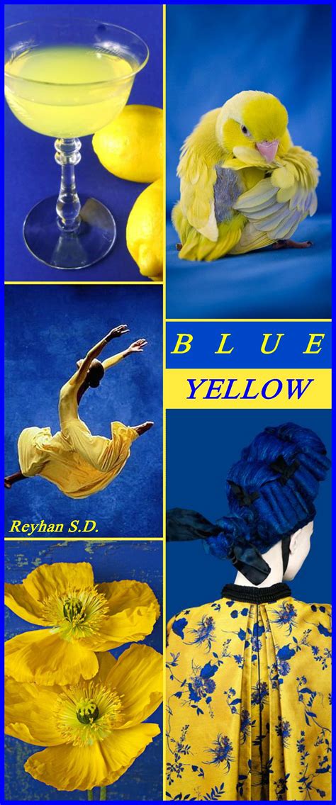 '' Blue & Yellow '' by Reyhan S.D. | Mood colors, Color themes, Blue yellow