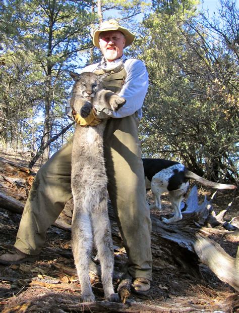 Trophy Mountain Lion Hunt in Southwest New Mexico - Professional : Gary ...