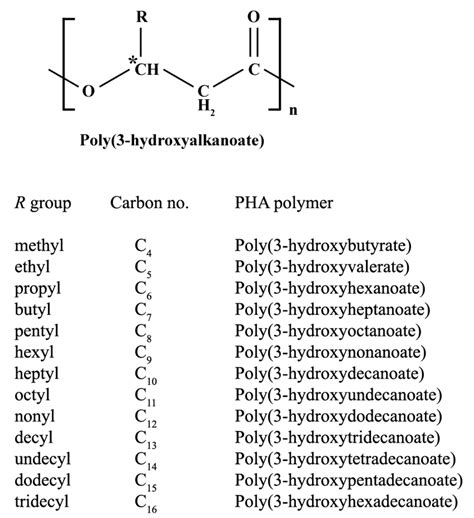 Polymers | Free Full-Text | Start a Research on Biopolymer Polyhydroxyalkanoate (PHA): A Review