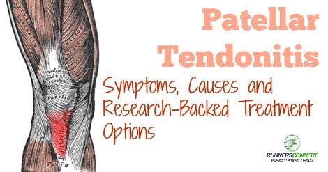 Patellar Tendonitis and Running: Symptoms, Causes and Research-Backed Treatment Options ...