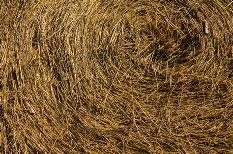 Download free photo of Hay,bale,agriculture,farm,straw - from needpix.com