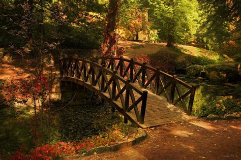 Wooden Bridges - Pack 1 ~ Cool Wallpapers