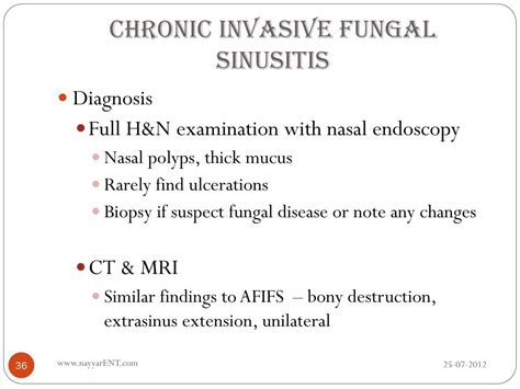 PPT - FUNGAL SINUSITIS PowerPoint Presentation, free download - ID:3112554