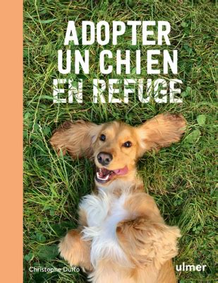 Adopter un chien en refuge